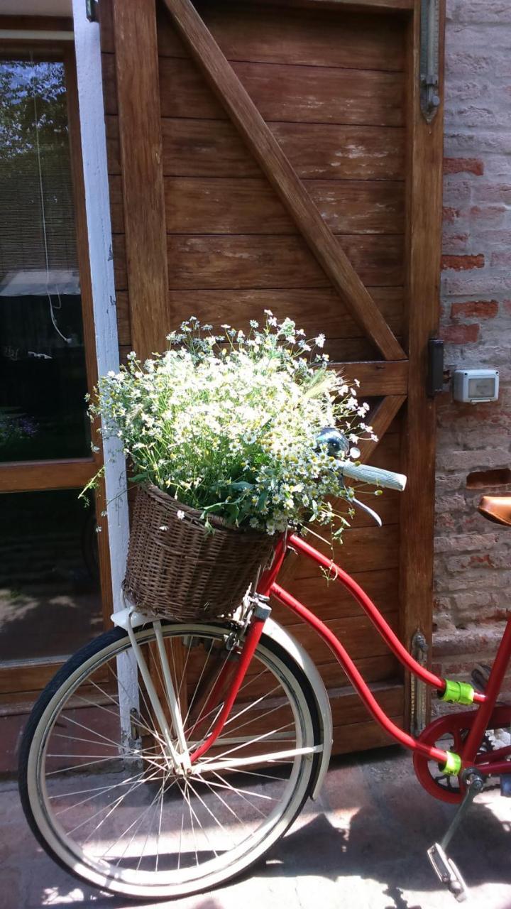 Corte Di Maggio B&B Country House 伊莫拉 外观 照片