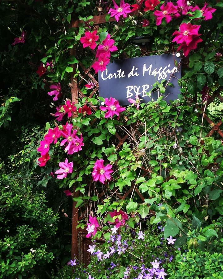 Corte Di Maggio B&B Country House 伊莫拉 外观 照片